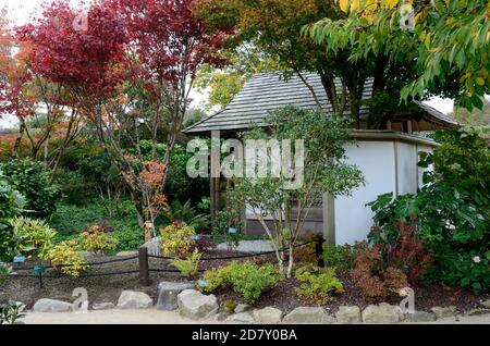 Japanischer Garten im National Botanical Garden of Wales Carmarthenshire Wales Großbritannien Stockfoto