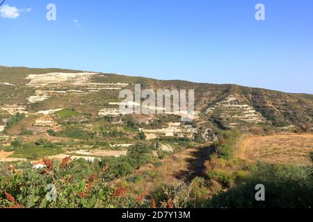 Weinberge an den Hängen des Troodos-Gebirges in der Nähe von Agios Amvrosios. Sonniger Sommertag in Zypern. Stockfoto