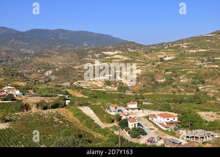 Weinberge an den Hängen des Troodos-Gebirges in der Nähe von Agios Amvrosios. Sonniger Sommertag in Zypern. Stockfoto