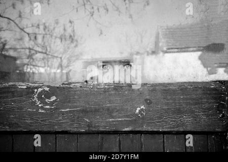 Schwarz-Weiß-Bild eines Kindes, das furchteinflößend durchschaut Ein Fenster Stockfoto