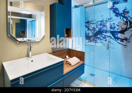 Gepflegtes Badezimmer mit blauer Duschkabine und Wandmontage Schrank und Waschtisch mit frisch gerolltem Handtuch unter einem Spiegel Mit Reflexion Stockfoto