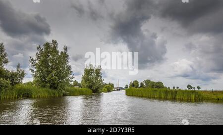 View in canal and Lake shore with reeds and Typha under cloudy summer sky Stockfoto