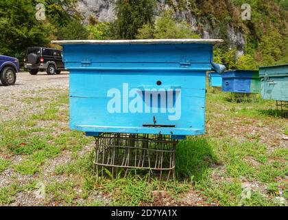 Blaue Bienenstöcke auf einem Bienenhaus in den kaukasischen Bergen In Abchasien Stockfoto