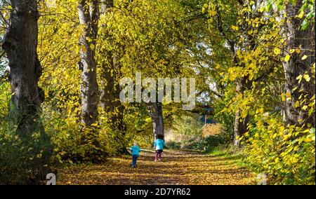 River Tyne, Haddington, East Lothian, Schottland, Großbritannien, 26. Oktober 2020. UK Wetter: Herbst Farben: Sonnenschein mit Herbstblättern beleuchtet in der Sonne, als zwei kleine Mädchen Roller entlang der Uferpromenade fahren Stockfoto