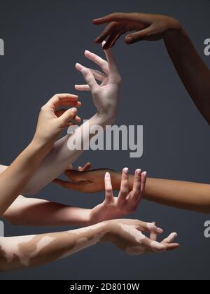 Gemeinsames Ziel. Hände von verschiedenen Menschen in Berührung isoliert auf grauen Studio-Hintergrund. Konzept von Beziehung, Vielfalt, Inklusion, Gemeinschaft, Zweisamkeit. Schwereloses Berühren, eine Einheit schaffen. Stockfoto