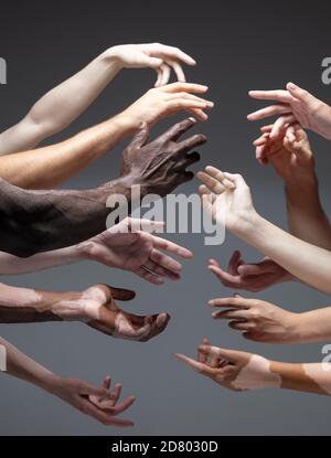 Menschlichkeit. Hände von verschiedenen Menschen in Berührung isoliert auf grauen Studio-Hintergrund. Konzept von Beziehung, Vielfalt, Inklusion, Gemeinschaft, Zweisamkeit. Schwereloses Berühren, eine Einheit schaffen.