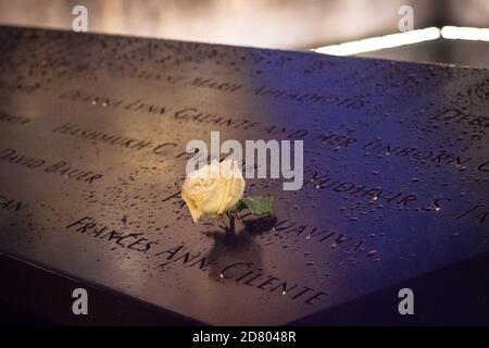New York, USA, oktober 2017: Eine weiße Rose am 911 World Trade Center Memorial an einer regnerischen Nacht. Weiße Rose ist das Symbol des Friedens und der vermissen für diejenigen vi Stockfoto