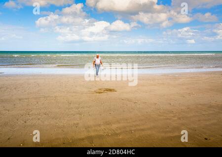 QUINEVILLE, FRANKREICH - SEPTEMBER CIRCA, 2020. In der Manche See, Unidentifizierte Menschen Graben nach Rasierklingen bei Ebbe am Nachmittag. Auf langen Sandbauch Stockfoto