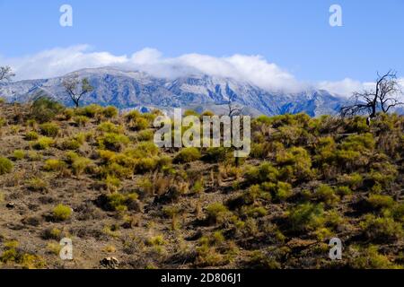 La Maroma, in der Nähe von Velez-Malaga, Axarquia, Malaga, Andalusien, Costa del Sol, Spanien Stockfoto