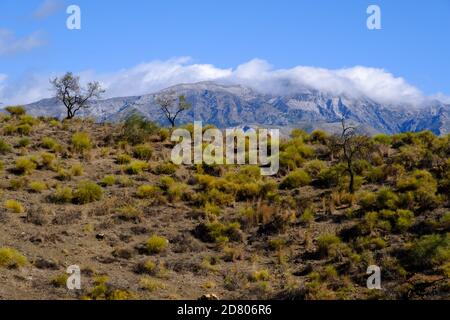 La Maroma, in der Nähe von Velez-Malaga, Axarquia, Malaga, Andalusien, Costa del Sol, Spanien Stockfoto