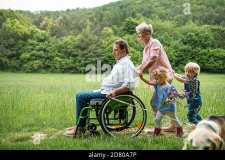 Kleine Kinder mit älteren Großeltern und Hund auf einem Spaziergang auf der Wiese in der Natur. Stockfoto