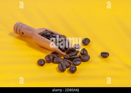 Kaffeebohnen mit Schatten von einer Palme in einem Kaffeelöffel auf einem gelben Hintergrund verstreut. Stockfoto