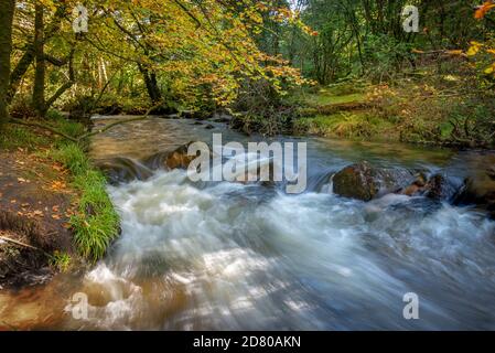 Golitha Wasserfälle sind Teil einer dramatischen Landschaft auf Bodmin Moor, wo der Fluss fowey hat eine lange Schlucht geschnitzt Durch den alten Wald von Draynes wo Stockfoto