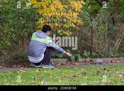 Ein asiatischer Amerikaner füttert ein Eichhörnchen und versucht, ein Foto des Augenblicks zu bekommen. In Flushing, Queens, New York City. Stockfoto