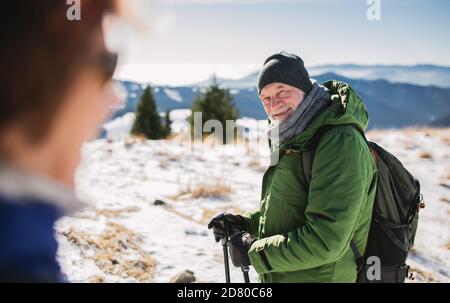 Ältere Wanderpaare mit nordic Walking Stöcken in schneebedeckter Winternatur. Stockfoto