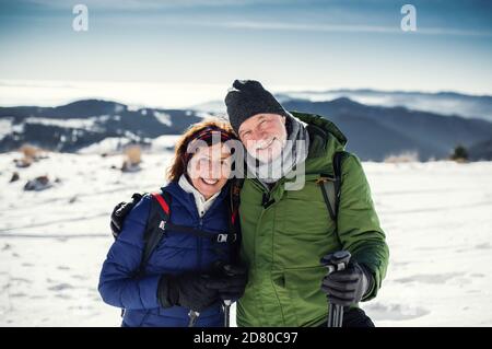 Ältere Wanderpaare mit nordic Walking Stöcken in schneebedeckter Winternatur. Stockfoto