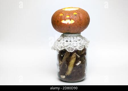 halloween Kürbis auf einer Flasche voller getrockneter Mais und Mais Stigmas. Geschnitztes Gesicht auf leeren Kürbis mit Kerze Laterne innen Stockfoto