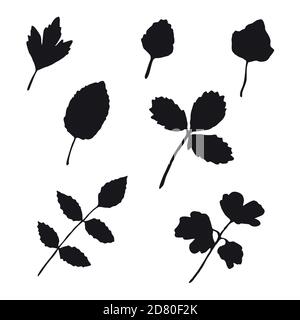 Sammlung von schwarzen Silhouette Herbst Blätter isoliert auf weißem Hintergrund. Vektorgrafik. Stock Vektor