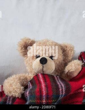 Kinder bedtime. Cute teddy mit einer warmen Decke zugedeckt, Ruhe im Bett Stockfoto