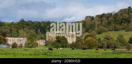 Rievaulx Abbey, Helmsley, North Yorkshire Stockfoto