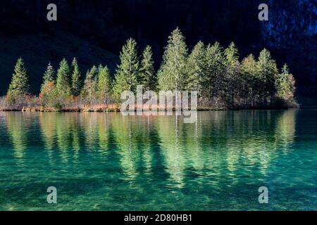 Ein kleiner Kops bei Saletalm, der sich im Wasser des Königssee im Berchtesgadener Land spiegelt. Stockfoto