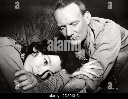 The Roots of Heaven Jahr : 1958 USA Regie : John Huston Trevor Howard, Juliette Greco Stockfoto