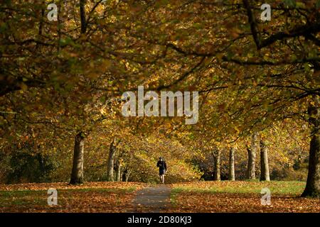 Liverpool, Großbritannien. Oktober 2020. Ein Läufer wird unter Herbstblättern im Sefton Park in Liverpool, Großbritannien, gesehen. Kredit: Jon Super/Alamy Live Nachrichten. Stockfoto
