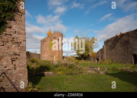 Herbstzeit auf der Burg Frankenbourg im Elsass in frankreich Stockfoto