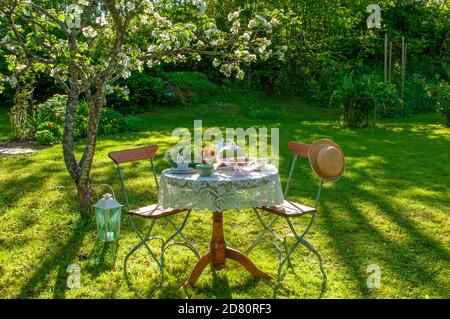 Zeit für Kaffee und Kuchen im Garten unter einem Blühender Apfelbaum Stockfoto