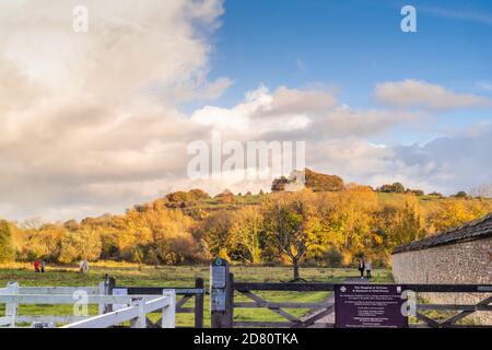 Blick von St. Cross auf St. Catherine's Hill in Winchester im Herbst, Winchester Oktober 2020, Hampshire, England, Großbritannien Stockfoto