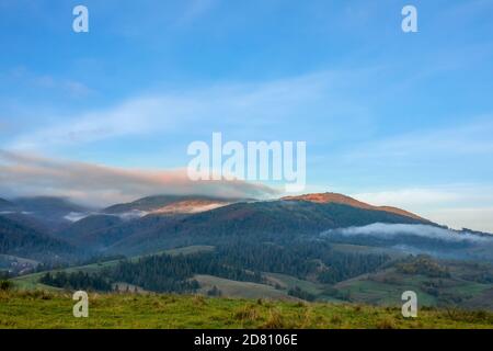 Blauer Himmel über bewaldeten Hügeln. Morgennebel und Sonnenstrahlen über den Gipfeln Stockfoto