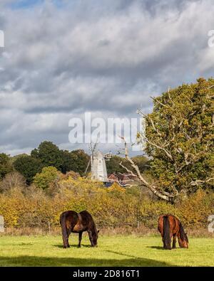 Blick über Shipley Windmill, Sussex Stockfoto