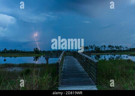 Blitz bei Sonnenuntergang im Pine Glades Naturgebiet, Jupiter, Florida, Palm Beach County, USA Stockfoto