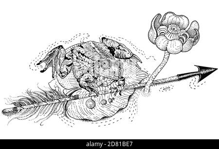 Die Froschprinzessin. Amphibium sitzt auf einem Seerosenblatt und hält einen Pfeil. Russisches Märchen. Hand gezeichnete Tinte Stift Illustration isoliert schwarz auf weiß. Stockfoto