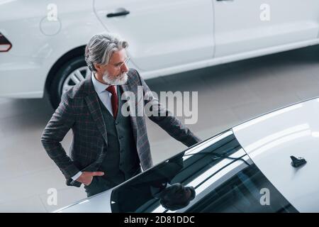 Luftaufnahme von modischen alten Mann mit grauen Haaren und Schnurrbart, die auf der Suche nach einem neuen Auto drinnen im Salon Stockfoto
