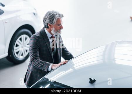 Luftaufnahme von modischen alten Mann mit grauen Haaren und Schnurrbart, die auf der Suche nach einem neuen Auto drinnen im Salon Stockfoto