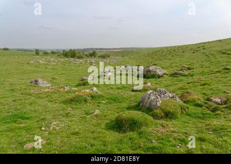 Fyfield Down National Nature Reserve, mit Sandstein-Sarsen-Steinen, die "Grey Wethers", in einem flachen Tal, Marlborough Downs, Wiltshire, Großbritannien ausgesetzt. Stockfoto