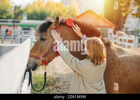 Bürsten Mähne, kleine Ingwer Mädchen kümmert sich um ihr trauriges Pferd. Stockfoto