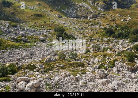 Blick auf ein Karstbergtal mit alpinen Wiesen und Felder von Kalksteinfelsen Stockfoto