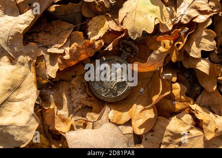 Vintage Taschenuhr in gelben Herbstblättern, Close-Up Stockfoto