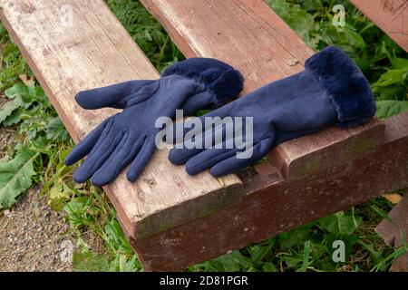 Schwarze Wildlederhandschuhe für Damen auf einer Holzbank im Park, Close-Up Stockfoto