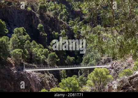 26. Oktober 2020: 26. Oktober 2020 (Canillas de Aceituno, Malaga )der große Weg von Malaga hat ab diesem Montag eine neue und spektakuläre Attraktion in der Stelle von Saltillo: Eine 50 Meter lange Brücke in einer Schlucht, die die Gemeinden Sedella und Canillas de Aceituno verbindet, und Metallstege, die mehr als hundert Meter hoch auf dem Weg liegen, der diese Gemeinden verbindet. Der Bau der Hängebrücke über den genannten Fluss Almanchares, 50 Meter lang und 1.20 Meter breit, die drittgrößte in Spanien in natürlichen Gebieten, die aus Stahl und Holz hergestellt wurde und die suspen Stockfoto