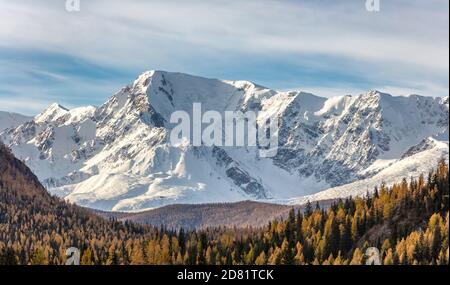 Landschaftlich Panorama-Luftaufnahme von verschneiten Berggipfeln und Hängen des Nord Chuyskiy Ridge. Goldene Bäume im Vordergrund. Schöner blauer wolkig Himmel wie Stockfoto