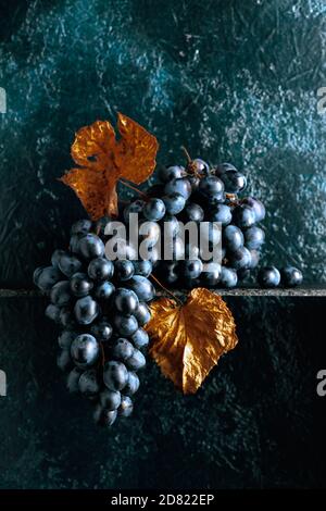 Blaue Trauben mit ausgetrockneten Weinblättern auf einem alten dunkelblauen Hintergrund. Speicherplatz kopieren. Stockfoto