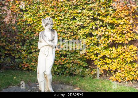 Eine Statue eines Weibchens vor einer Buchenhecke (Fagus sylvatica) im Herbst in einem heimischen Garten, Großbritannien Stockfoto