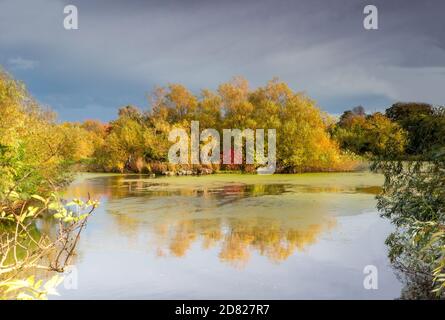 Refection's on the Loch at Figgate Park, Edinburgh, Schottland, Großbritannien Stockfoto