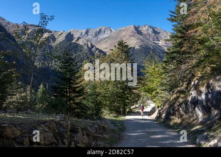 Wanderweg in Berglandschaft mit grünem Wald. Pyrenäen Koniferen und Mischwälder, gemäßigte Laub-und Mischwälder Ökoregion in Frankreich, s Stockfoto