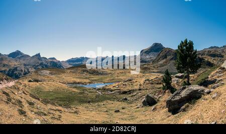 Pic du Midi d'Ossau Berg erhebt sich über dem Ossau Tal, Wandern rund um den Lac d'Ayous, Wahrzeichen der französischen Seite der Pyrenäen, geschützt Stockfoto