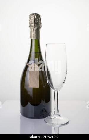Elegante Champagner-Flasche und Weinglas auf hellem Hintergrund. Stockfoto