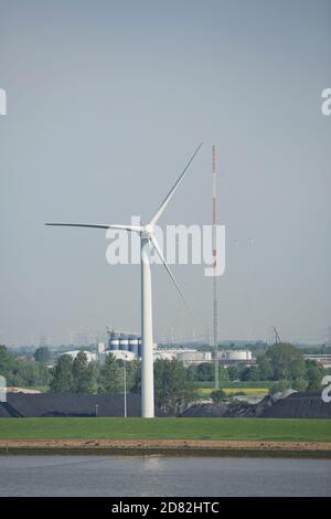 Windmühlen Kraftwerke und Turbinen erzeugen erneuerbare grüne Energie in der Nähe des Kieler Kanals in Deutschland. Stockfoto